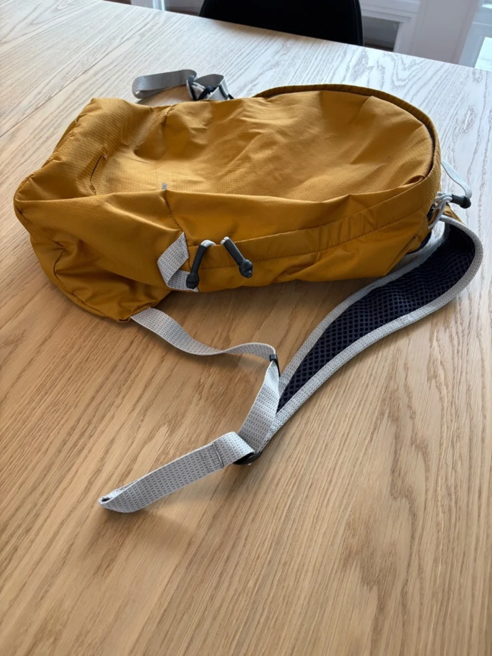 Bellroy Lite Daypack 20L Backpack in discontinued Mustard/Orange colorway
